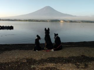 富士山を見るsource_DSCN5792_Resize.JPG